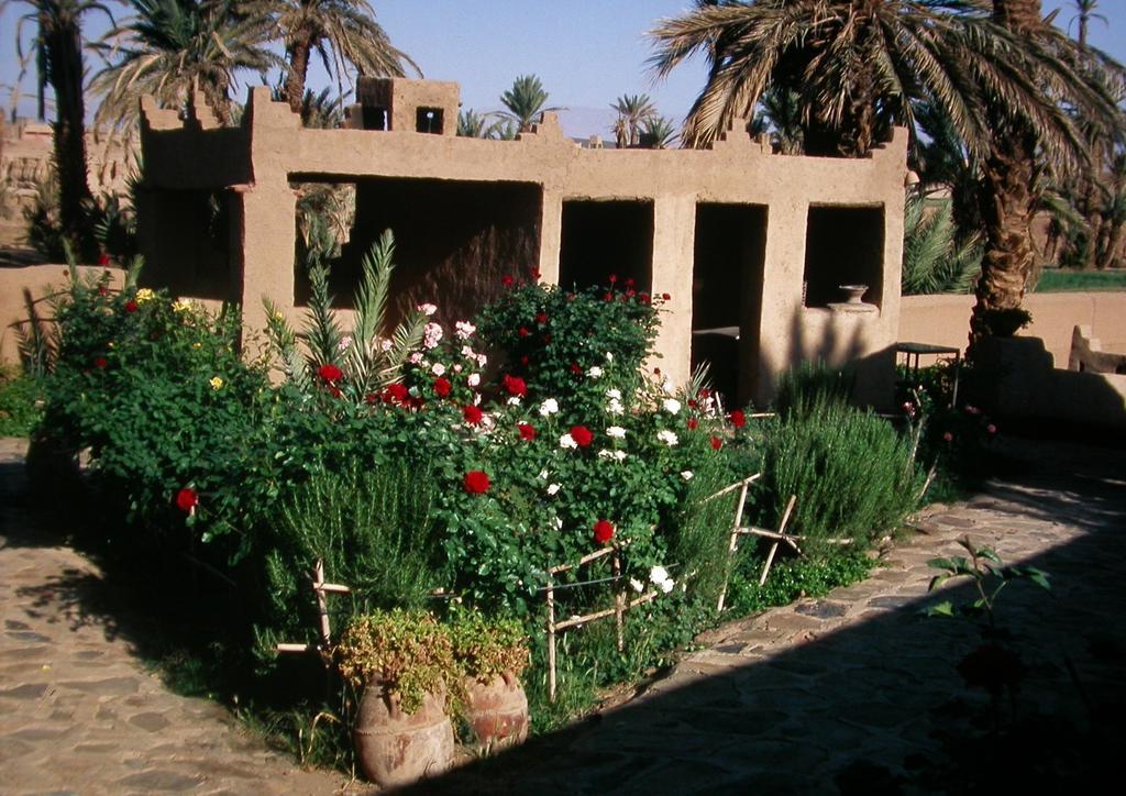 Gite Elkhorbat Tinejdad Exterior foto